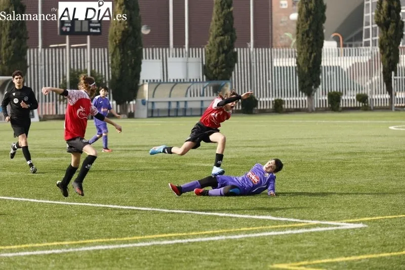 Galería de imágenes / Fotos: David Sañudo