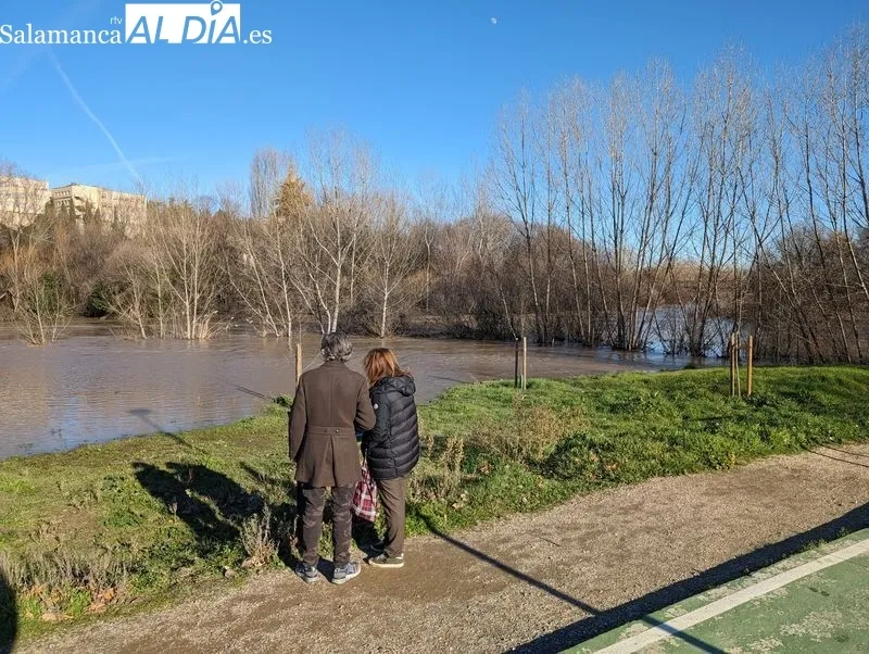El río Tormes a su paso por Salamanca este domingo. Fotos: David Sañudo