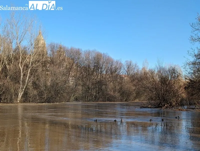 El río Tormes a su paso por Salamanca este domingo. Fotos: David Sañudo