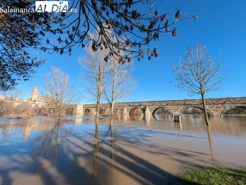 El río Tormes a su paso por Salamanca este domingo. Fotos: David Sañudo