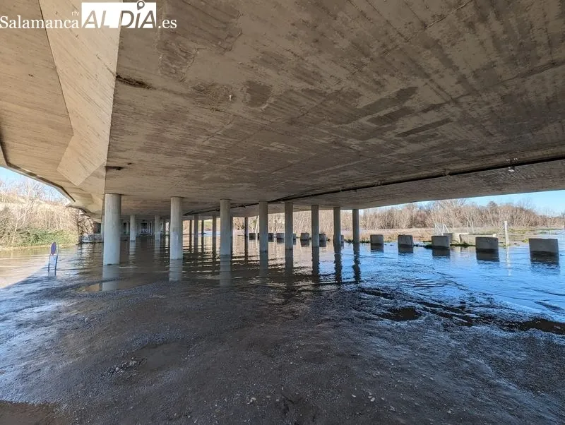 El río Tormes a su paso por Salamanca este domingo. Fotos: David Sañudo