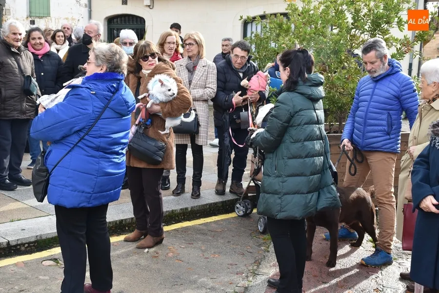 Foto 5 - Seis perros son bendecidos por San Ant&oacute;n en una festiva ma&ntilde;ana que esquiv&oacute; la lluvia