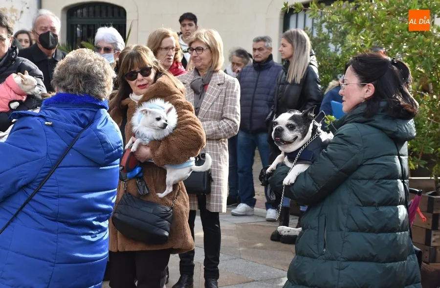 Foto 6 - Seis perros son bendecidos por San Ant&oacute;n en una festiva ma&ntilde;ana que esquiv&oacute; la lluvia