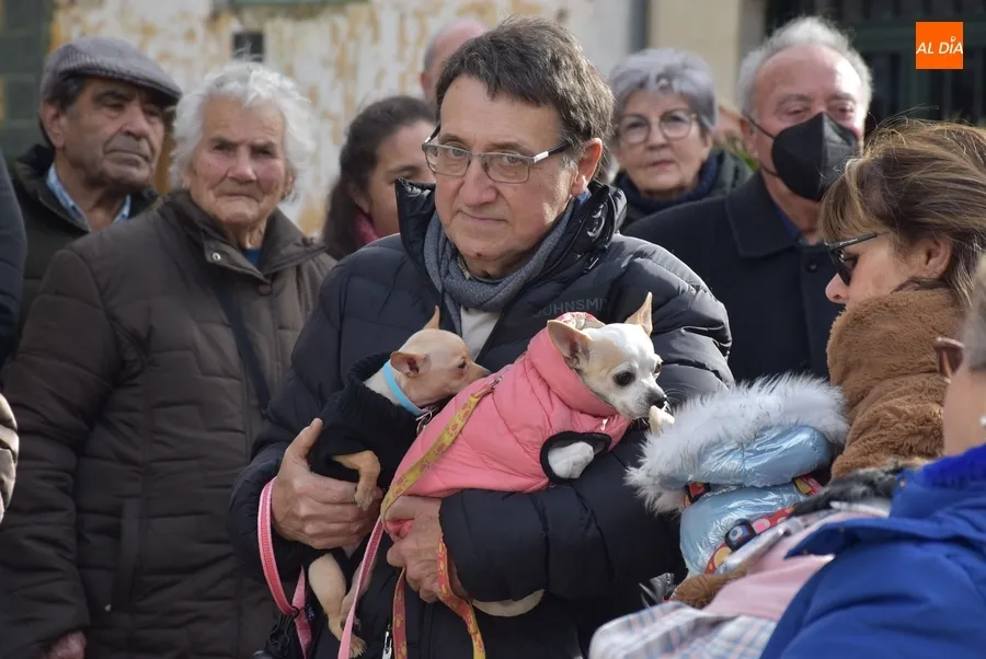 Foto 7 - Seis perros son bendecidos por San Ant&oacute;n en una festiva ma&ntilde;ana que esquiv&oacute; la lluvia