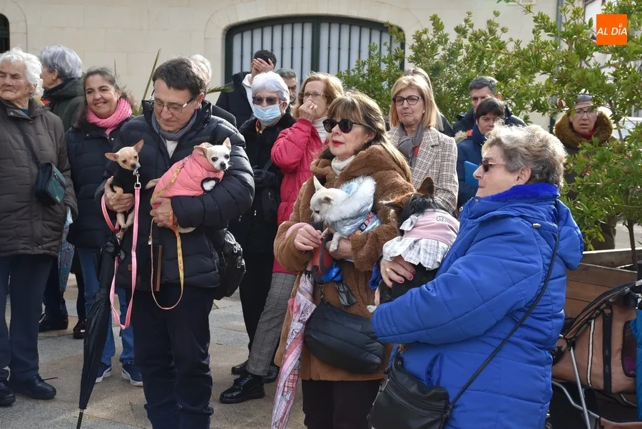 Foto 8 - Seis perros son bendecidos por San Ant&oacute;n en una festiva ma&ntilde;ana que esquiv&oacute; la lluvia