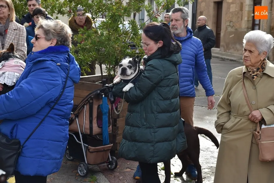 Foto 9 - Seis perros son bendecidos por San Ant&oacute;n en una festiva ma&ntilde;ana que esquiv&oacute; la lluvia