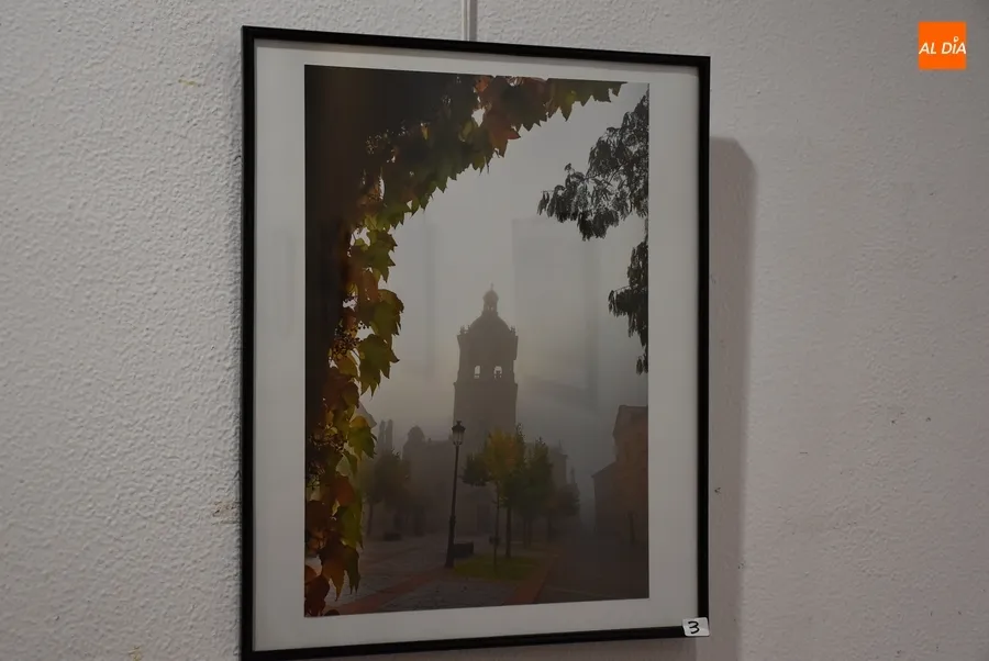 Foto 4 - Presentadas 12 im&aacute;genes al XXI Concurso Monogr&aacute;fico de Fotograf&iacute;a