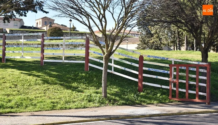 Foto 6 - Las agujas ya asoman por los Pinos
