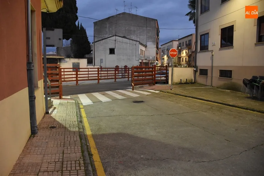 Foto 4 - El Ayuntamiento renombrar&aacute; como Carnaval del Toro la calle Comandante Che Guevara