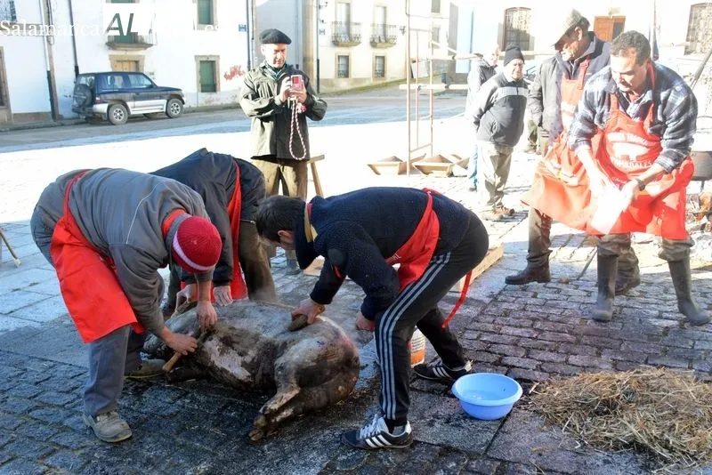 Foto 6 - Lumbrales revive la Matanza Tradicional con un gran ambiente festivo
