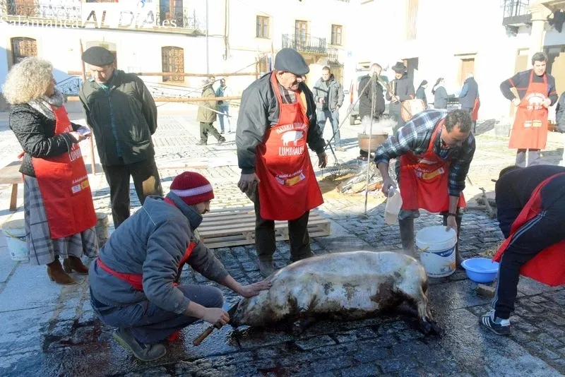 Foto 4 - Lumbrales revive la Matanza Tradicional con un gran ambiente festivo