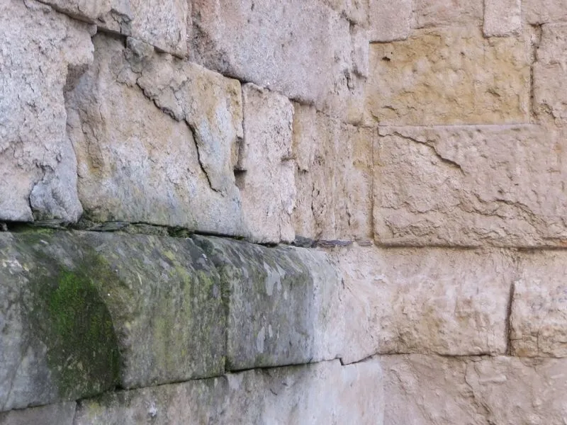 Denuncias por la falta de vigilancia y limpieza en algunos lugares emblemáticos de Salamanca | FOTOS: Perfil X de @ACDPatrimonio