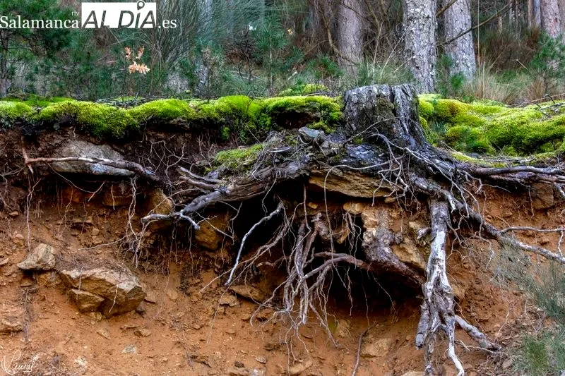 Ruta de la Garganta del Oso. Foto de Manuel Lamas