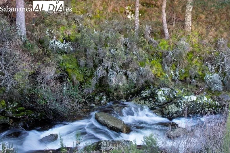 Ruta de la Garganta del Oso. Foto de Manuel Lamas