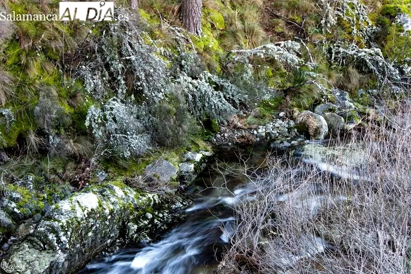 Ruta de la Garganta del Oso. Foto de Manuel Lamas