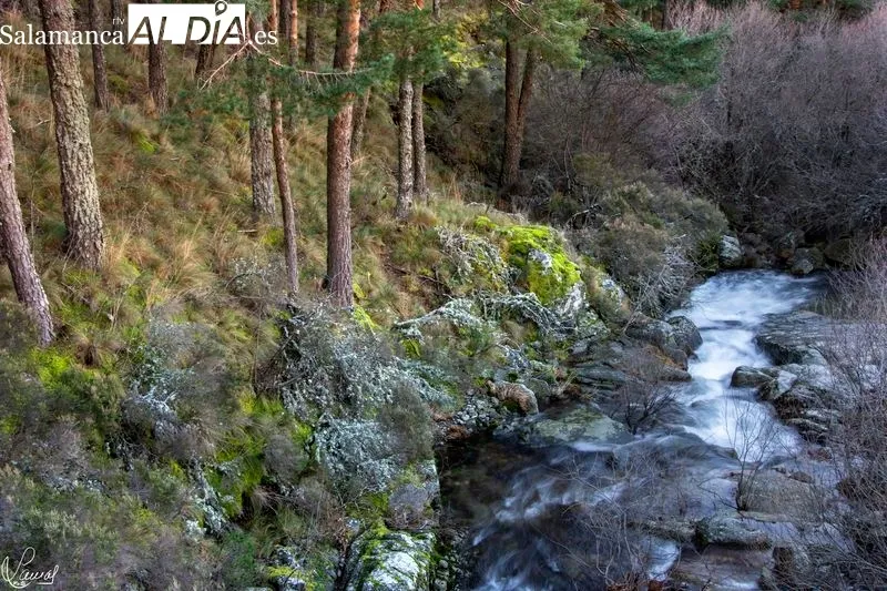 Ruta de la Garganta del Oso. Foto de Manuel Lamas
