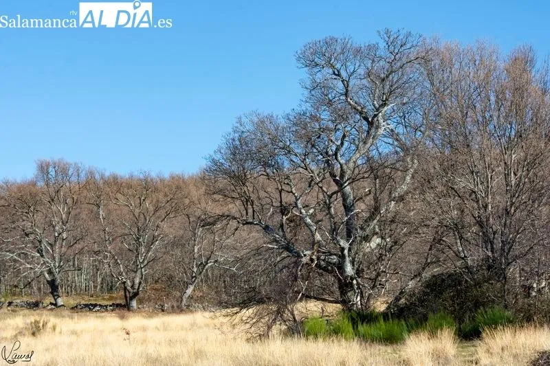 Ruta de la Garganta del Oso. Foto de Manuel Lamas