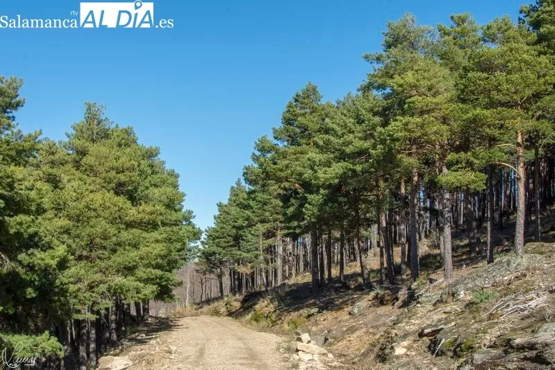 Ruta de la Garganta del Oso. Foto de Manuel Lamas