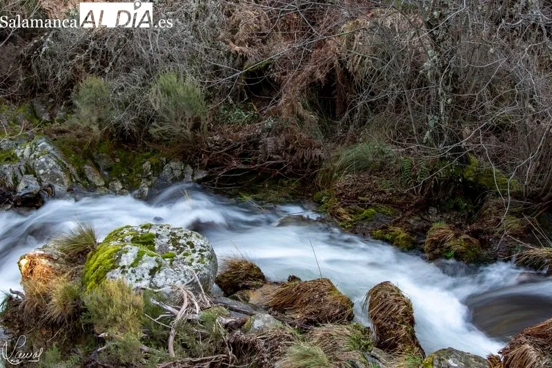 Ruta de la Garganta del Oso. Foto de Manuel Lamas