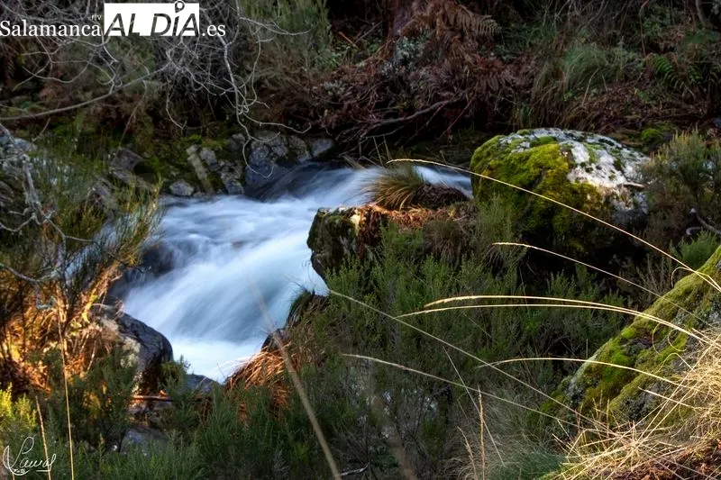 Ruta de la Garganta del Oso. Foto de Manuel Lamas