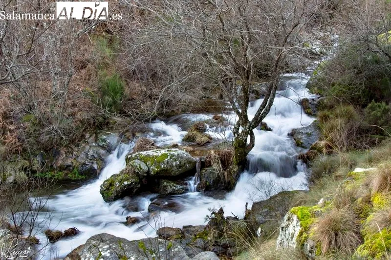 Ruta de la Garganta del Oso. Foto de Manuel Lamas