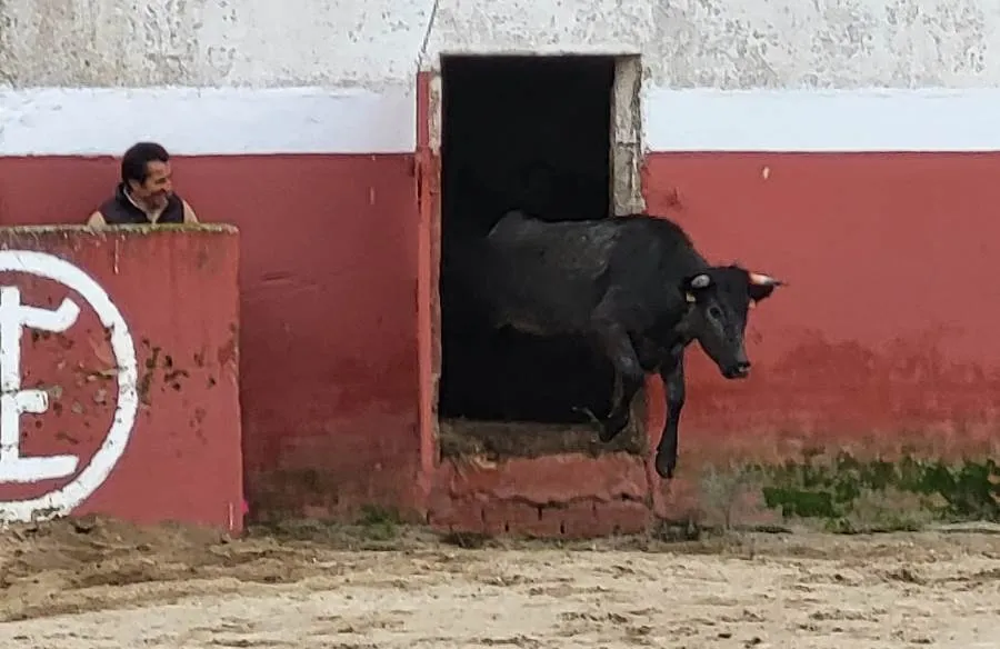 Fotos: Juan Andrés Sevillano