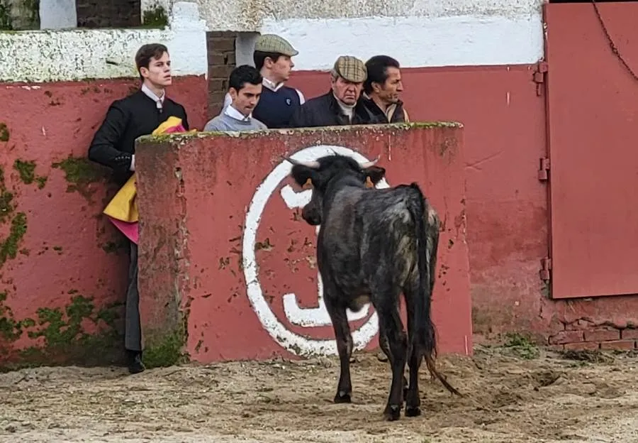 Fotos: Juan Andrés Sevillano
