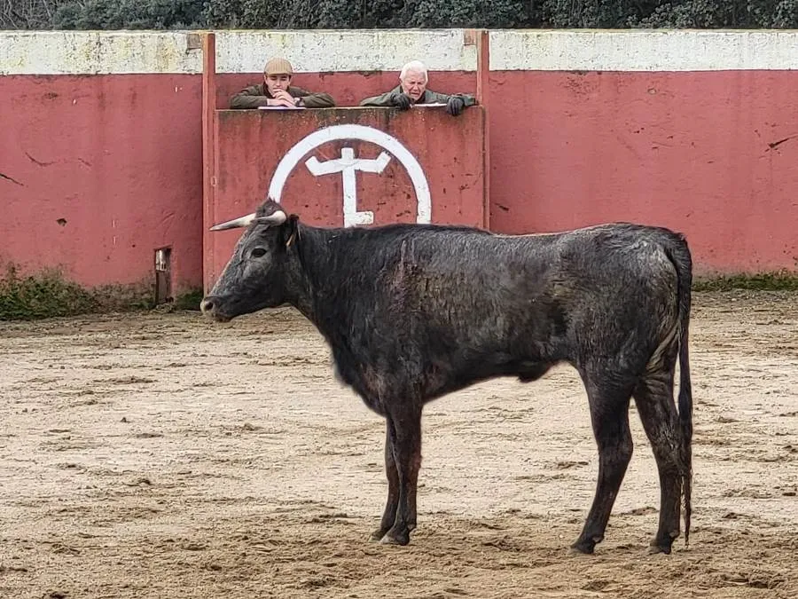 Fotos: Juan Andrés Sevillano