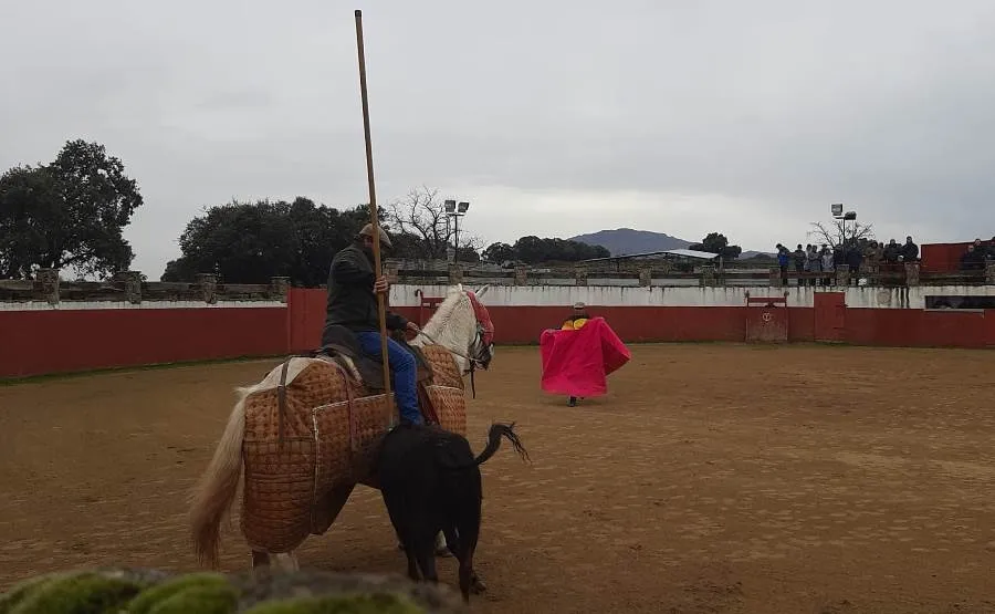 Foto 5 - Bastante nivel entre los participantes en la tienta bolsinista en tierras madrile&ntilde;as