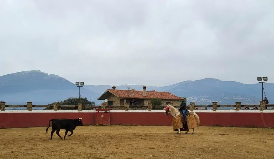 Fotos: Juan Andrés Sevillano