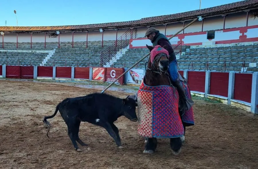 Fotos: Juan Andrés Sevillano