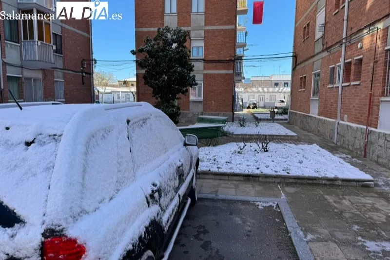 Imágenes de la nevada y la helada generada por la borrasca Juan en Peñaranda