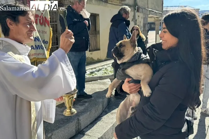 Peñaranda bendecía sus mascotas por San Antón