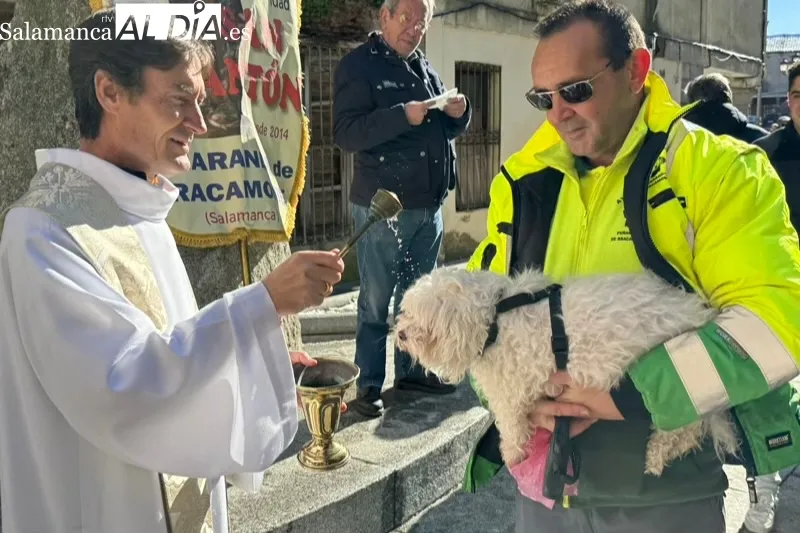 Peñaranda bendecía sus mascotas por San Antón