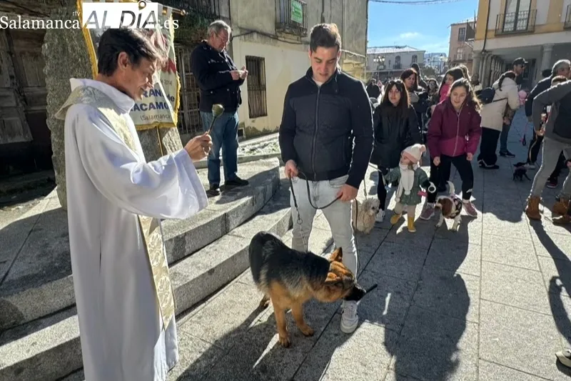 Peñaranda bendecía sus mascotas por San Antón