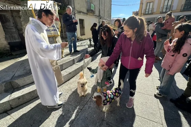Peñaranda bendecía sus mascotas por San Antón