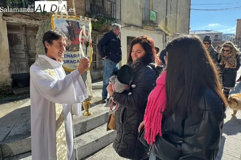 Peñaranda bendecía sus mascotas por San Antón
