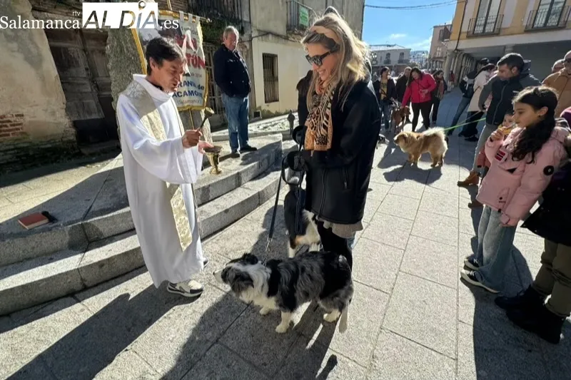 Peñaranda bendecía sus mascotas por San Antón