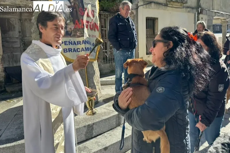 Peñaranda bendecía sus mascotas por San Antón