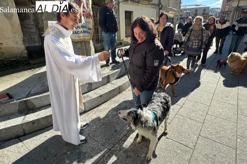 Peñaranda bendecía sus mascotas por San Antón