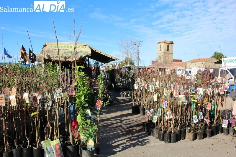 Primer mercadillo de 2024 en Trabanca / SILVESTRE