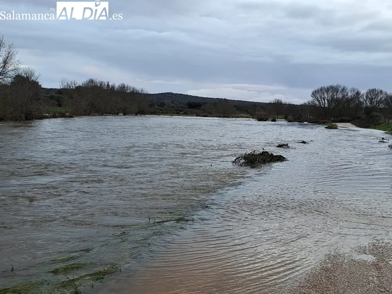 Desbordamiento del río Camaces y daños causados por el agua a su paso por Olmedo de Camaces / MANUEL NICOLÁS BOGAZ 