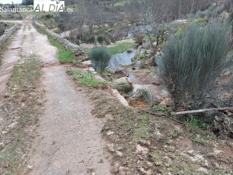 Puente de La Mata en Bañobárez / FOTOS: SALUSTIANO GARCÍA