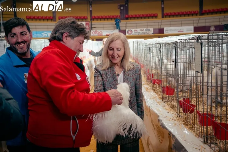Foto 9 - M&aacute;s de mil aves y 58 expositores en el campeonato internacional de Avicultura y Colombicultura