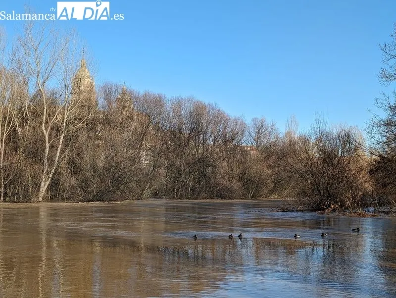 El río Tormes a su paso por Salamanca este domingo. Fotos: David Sañudo