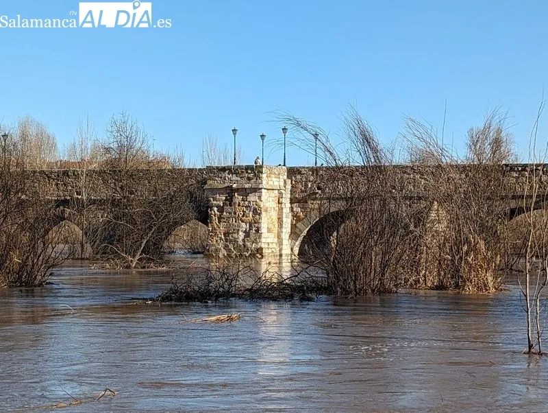 El río Tormes a su paso por Salamanca este domingo. Fotos: David Sañudo