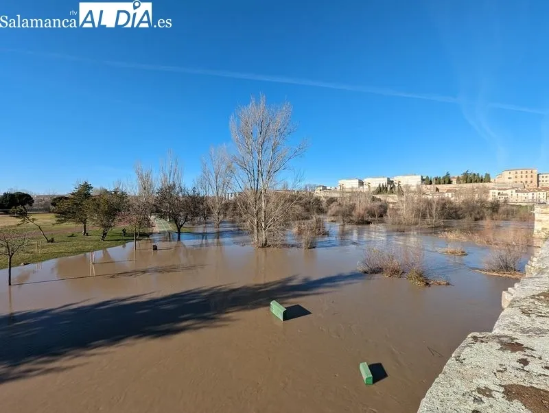 El río Tormes a su paso por Salamanca este domingo. Fotos: David Sañudo