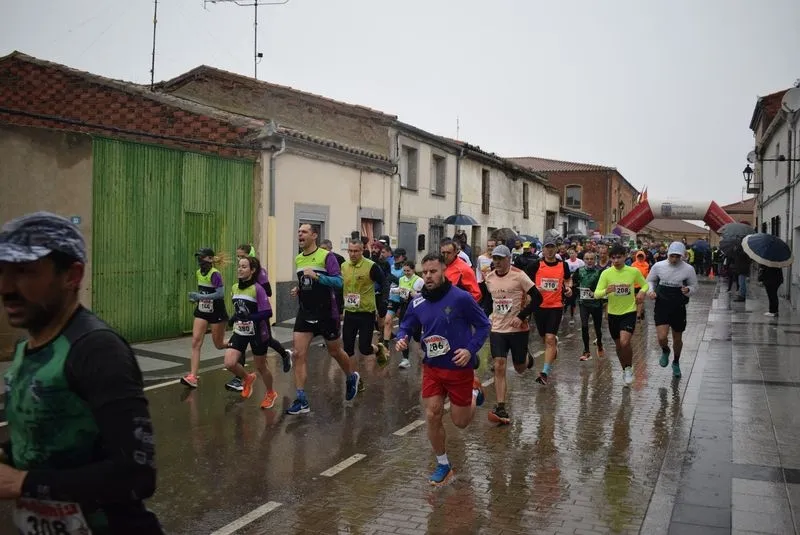 I Cross Popular Campus Pini en Cantalpino