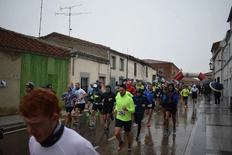 I Cross Popular Campus Pini en Cantalpino