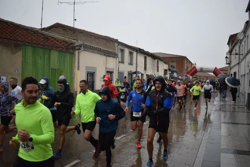 I Cross Popular Campus Pini en Cantalpino